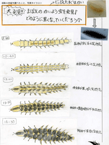 刈谷市立小垣江東小学校イラスト2