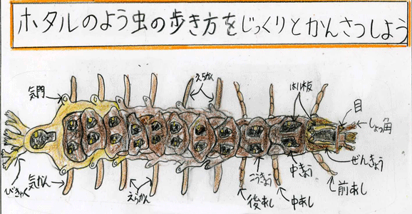 刈谷市立小垣江東小学校イラスト