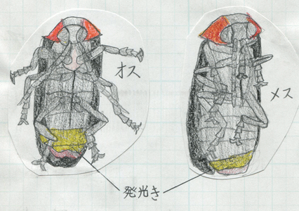 刈谷市立小垣江東小学校イラスト2