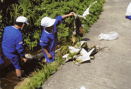 沢をきれいに