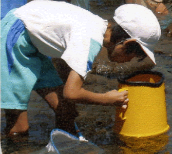 はじめて見る生き物がたくさんいるねぇ