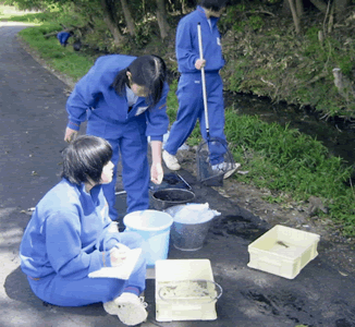 阿川 七ッ洞自然環境調査