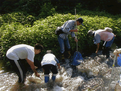 川の調査