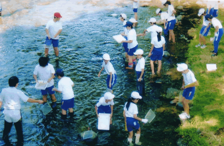 水生生物調査のようす 2