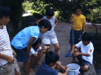 川の汚れを調べよう