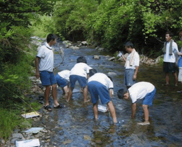 広川の水生生物調査 1