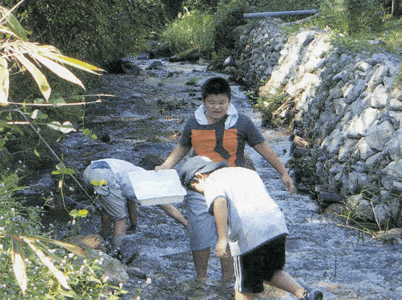 二反田川調査