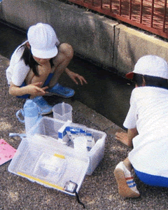 矢出沢川の水質