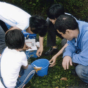 電子計で調査