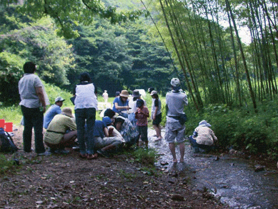 有栖川の環境調査