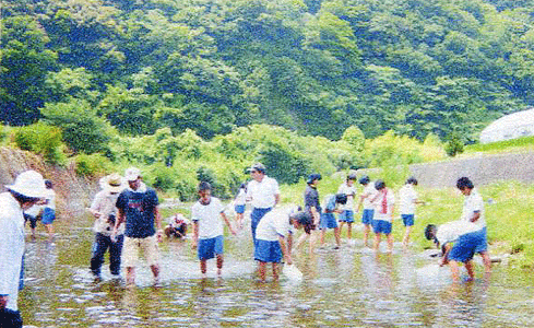 ホタルの生育に適した広川の環境を探る