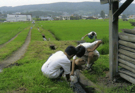 田んぼの脇の用水路を水質調査