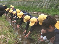 刈谷市立小垣江（おがきえ）小学校 第４学年