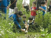 大田区立大森第六中学校「ホタル復活プロジェクト」