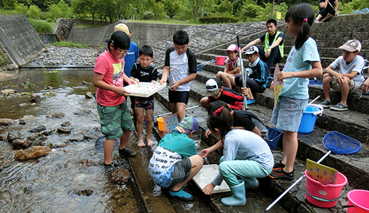 今川こども自然クラブ「今川のホタルや水辺の生き物を守ろう」