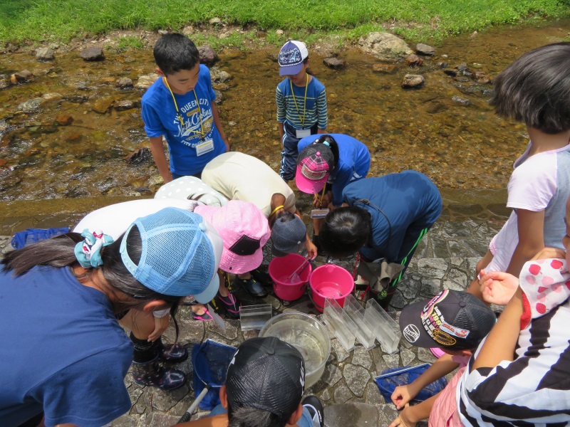 今川こども自然クラブ「里山の営みによって、今川のホタルや水辺の生き物を守ろう」