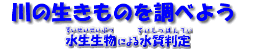 川の生きものを調べよう～水生生物による水質判定