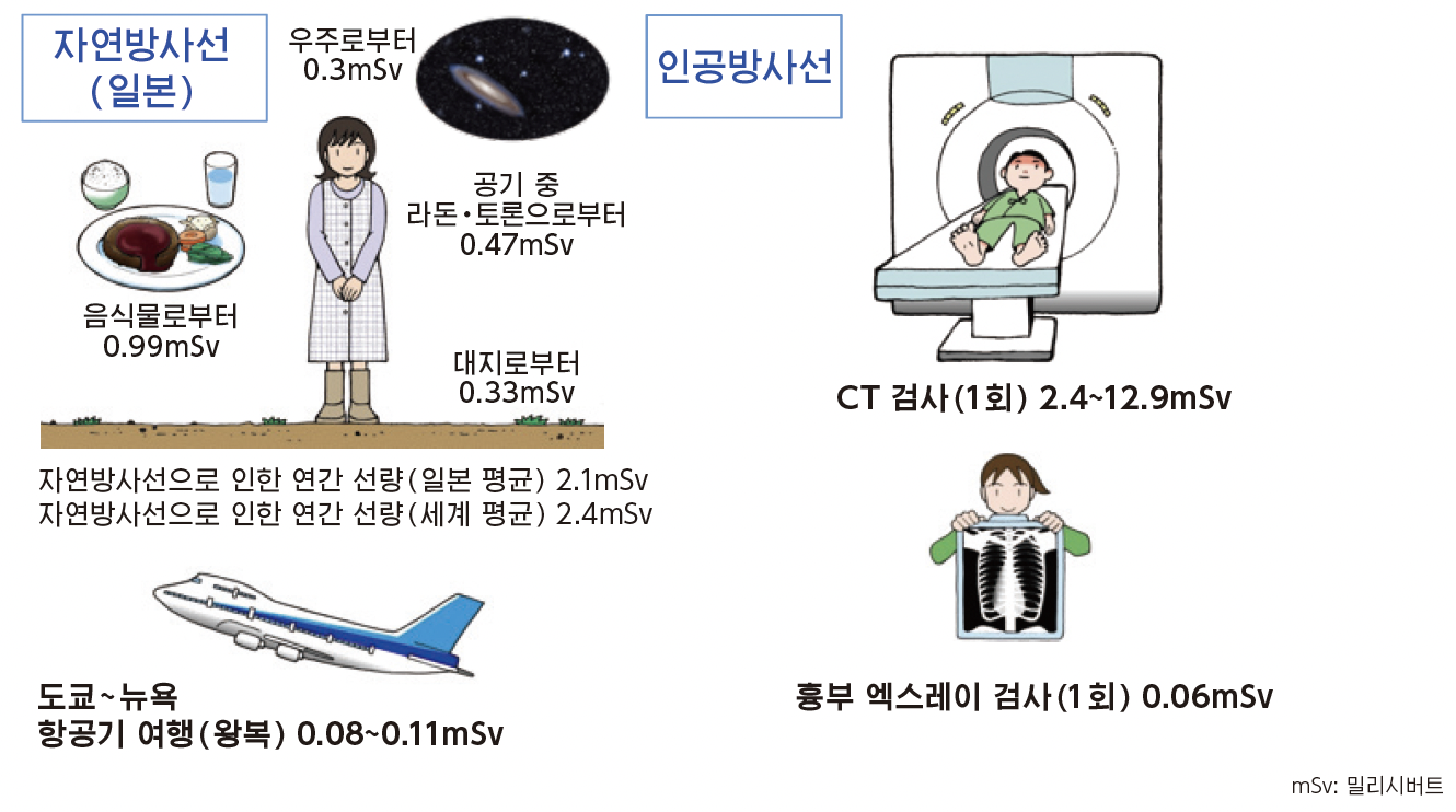 Natural and artificial radiation exposure dose