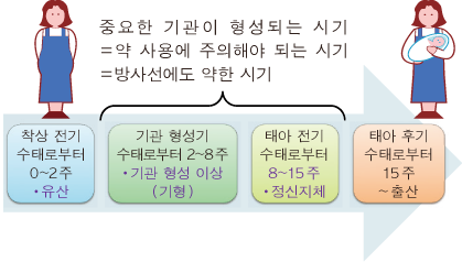 Deterministic effects and differences depending on the timing of exposure