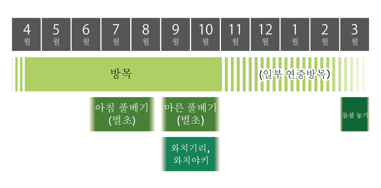 그림:아소 초원의 1년