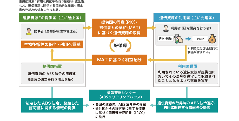 議定書の概要図説