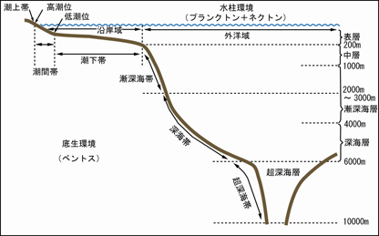 海洋の生態的区分