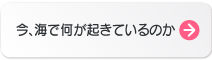 今、海で何が起きているのか