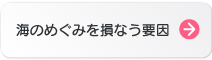 海のめぐみを損なう要因