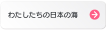 日本の海ってどんな海