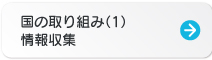 国の取り組み（1）情報収集