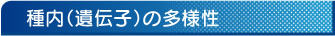 種内（遺伝子）の多様性