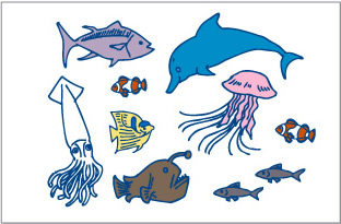多様な海洋生物