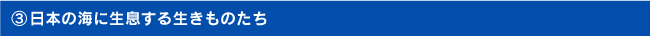 （３）日本の海に生息する生きものたち