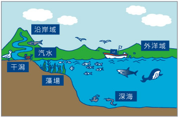 環境省 海のめぐみって何だろう わたしたちの日本の海 海洋生物多様性保全戦略公式サイト