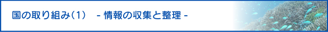 “国の取り組み（１）　-情報の収集と整理-