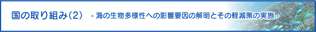 “国の取り組み（2） -海の生物多様性への影響要因の解明とその軽減策の実施-