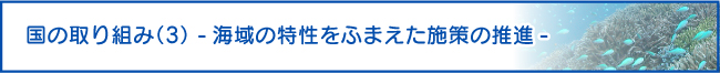 “国の取り組み（3） -海域の特性をふまえた施策の推進-