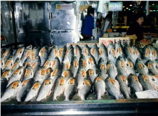 水産資源（魚介類）