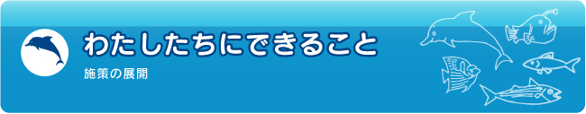 わたしたちにできること 施策の展開