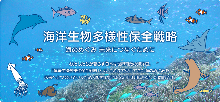 海洋生物多様性保全戦略：海のめぐみ 未来につなぐために：わたしたちが暮らす日本は世界有数の海洋国。「海洋生物多様性保全戦略」とは、これまで受けてきた海のめぐみを未来へとつないでいくため、環境省が平成23年3月に策定した戦略です。