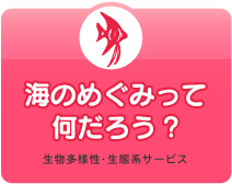 海のめぐみって何だろう（生物多様性・生態系サービス）