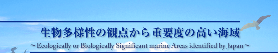 生物多様性の観点から重要度の高い海域