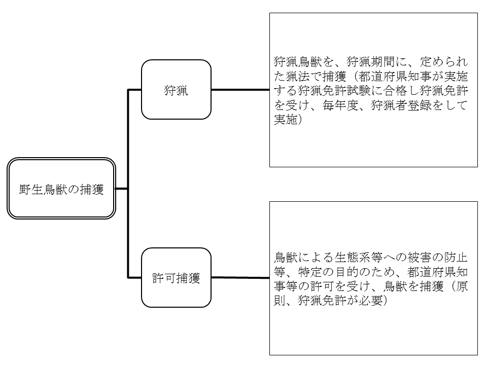 狩猟と許可捕獲の違いの図