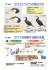 内水面生態系管理手法開発事業報告書