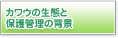 カワウの保護管理に関する資料