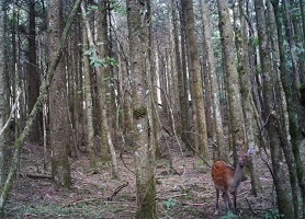 レポート写真