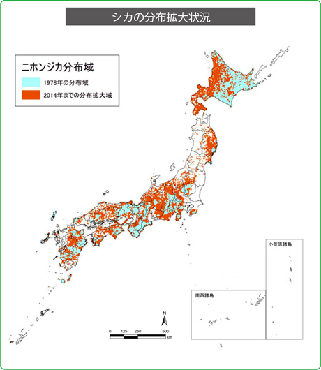 シカの分布拡大状況