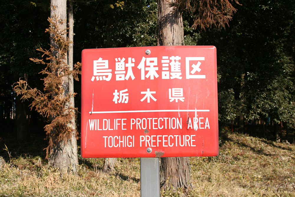 鳥獣保護区の看板