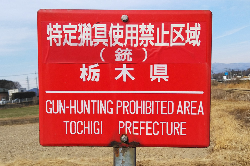 銃猟禁止区域の看板