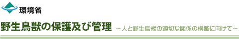野生鳥獣の保護及び管理－人と野生鳥獣の適切な関係の構築に向けて－